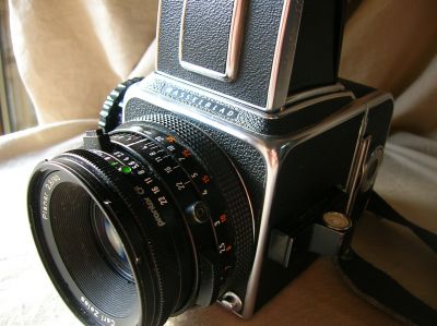 Blad_002.JPG
