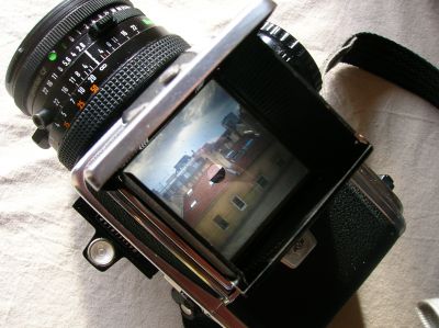 Blad_003.JPG