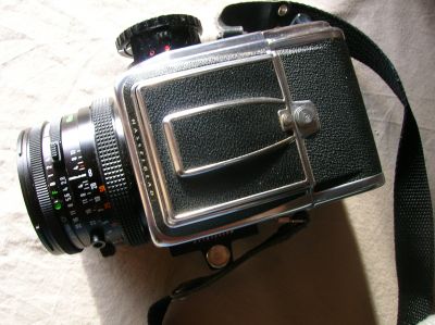 Blad_004.JPG