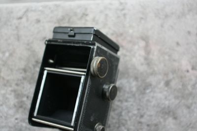 CordGL_001.JPG
