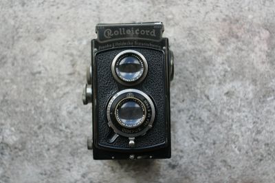 CordGL_003.JPG