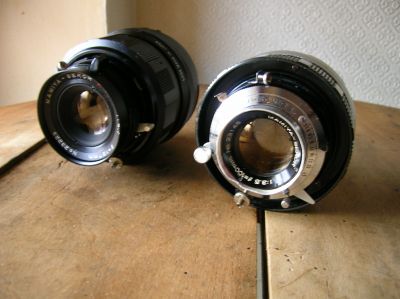 Mamiya_001.jpg