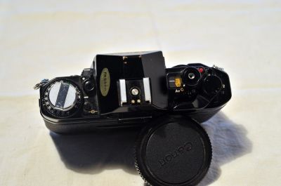 PJB_0447.JPG