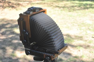 PJB_9956.JPG