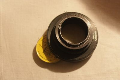 bagueBladNik_005.JPG