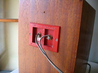 cabassezef_003.JPG