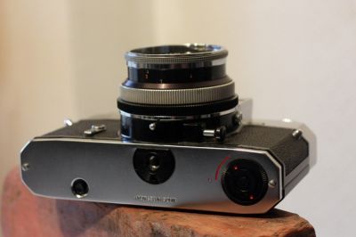 icarex_002.JPG