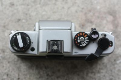 revueflex_003.JPG