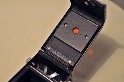 semflex_001.JPG