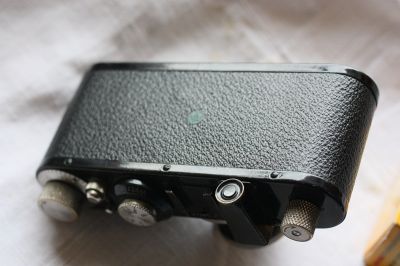 standard_006.JPG