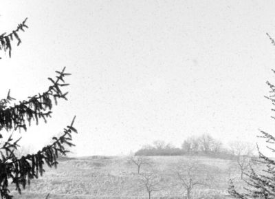 ATP 1.1: "tâches de griseur", deuxième film
Echantillon de l'image à 100% (scan du négatif à 1410 dpi)


