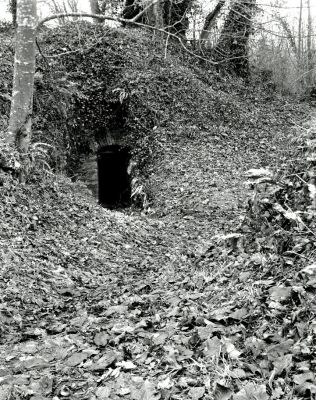 Château de Saint-Aubin du Cormier
4x5" HP5 à 200 ISO, Symmar-S 150 mm

