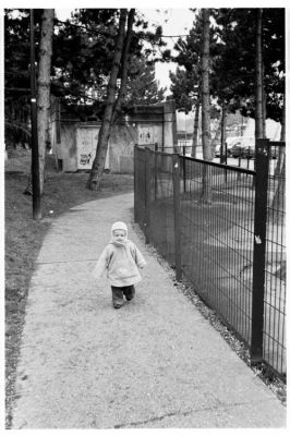 Par ce chemin peut-être?
