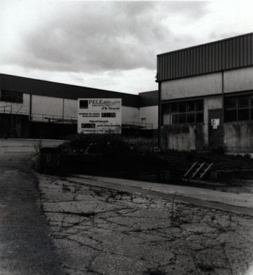 us-pele006.jpg