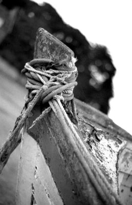 épave-trégastel-n_b2005-4.jpg