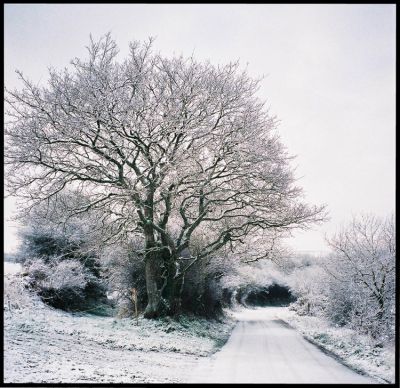 l'hiver
