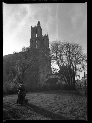 Je monte la garde !
Delta 100 - pentax 645 45mm - Chien en bronze
