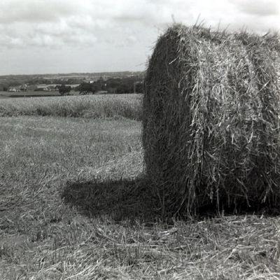 agfa click 2

