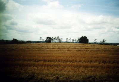 img057.jpg