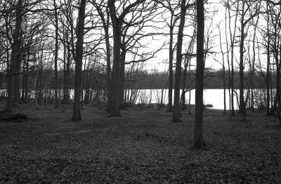 permis
delta 100 - Minolta XD7 - 50mm 1.7
