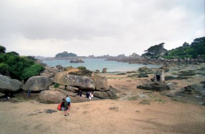 img469.jpg