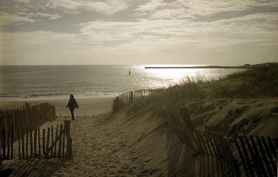 canon AE1 - 50mm
