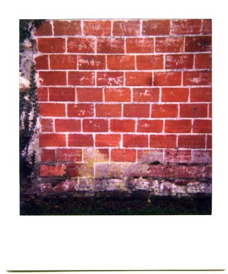 pola-mur_brique.jpg