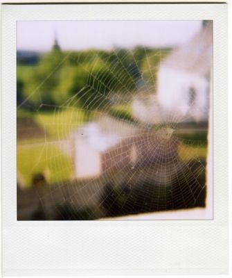 c'est une toile
sx 70
