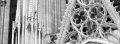 kodalith1-detail.jpg