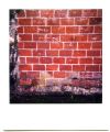 pola-mur_brique.jpg