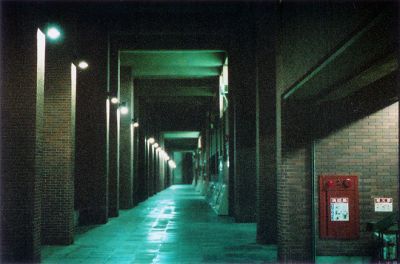 Galerie
Desole, j'arrive pas a la redresser correctement...

Galerie du rez de chaussee d'un batiment de la fac.

Fujipress 800
