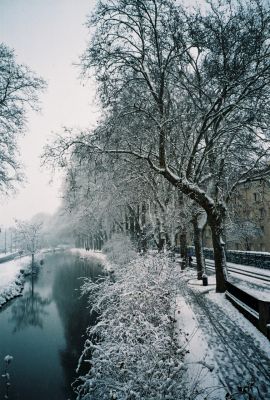 Canal du Midi, Toulouse, hiver 2005
