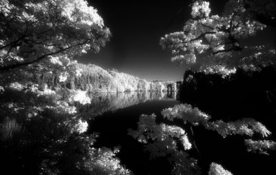 Lac de Robertville
Prise en milieu d'après-midi (soleil et ciel bleu) avec un 20mm f/11 pendant 1seconde sur trépied (ASA: 1,5!!) + Filtre Hoya R-72,  Efke Ir-820c Révélateur Ilfotec HC 1 + 47 pendant 10 minutes.
Tiré sur Foma brillant 13 X 18
Mots-clés: N&B Infra-Rouge Efke IR-820c