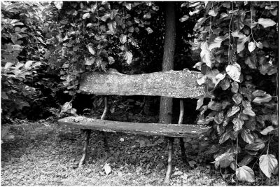 Banc 01
Situé dans un parc ?  Raynans dans le Jura où la dame cultive toutes sortes d'Hydrangéa (sorte d'Hortensias).
