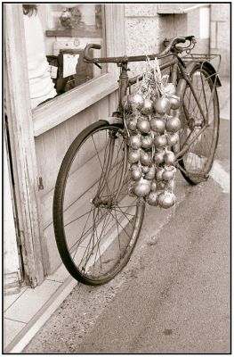 Vélo des Johnies ?  Roscoff
Virage Sépia
