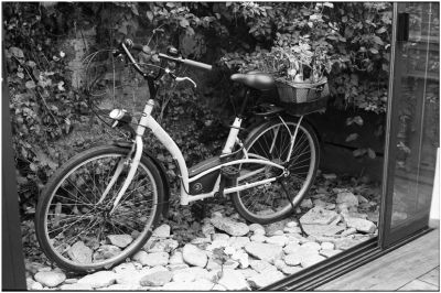 Vélo ?  Roscoff
Vélo dans un restaurant de Roscoff avec les légumes dans le panier, mais la profondeur de champ est mal choisie, ce qui nuit ?  la lecture de l'image.
Mots-clés: vélo