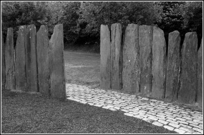 Palissade 02
Palissade ?  la Gacily.
