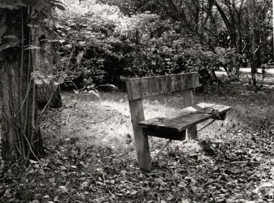 Banc recadré-agrandissement  FB warmtone  18 * 24   Grade 2
Nikon F50 - HP5 - Ilford Multigrade FB Warmtone 18/24 - Chimie ilford - Grade 2
