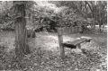 banc-parc-cdk-RC-10-15.jpg