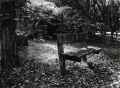 banc-parc-cdk-RC-18-24.jpg