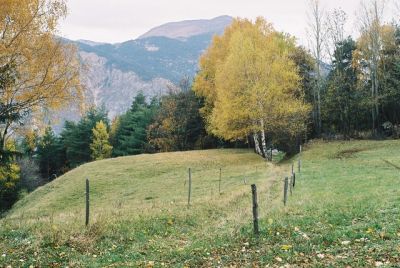 Automne en montagne
