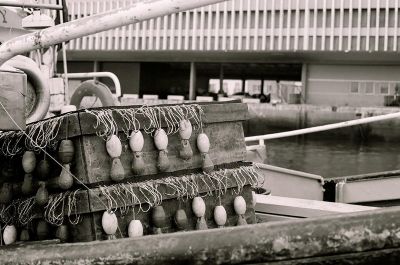 hameçons
kodak bw 400 cn
1/125 s diaph 8
