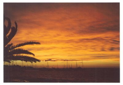 port de Punta del Este 2
