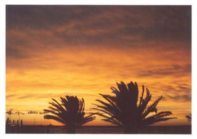 le port de Punta del Este en Uruguay
