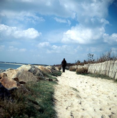 lubitel~0.jpg