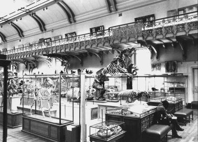 La galerie de l'évolution
Nikon FE au 28 mm sur du HP5+
