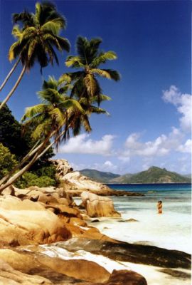 Sessel - La Digue
Nikon F50 avec 35-80, il y a dix ans ... souvenirs techniques envolés !
scan de tirage
