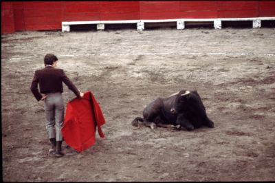 Quoi
Corrida à Quito
Equateur
Mots-clés: Corrida equateur