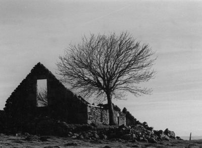 Buron en ruine
Un buron en ruine sur le plateau de l'Aubrac
Nikon F90 + 35-70 + HP5
Scan de tirage
