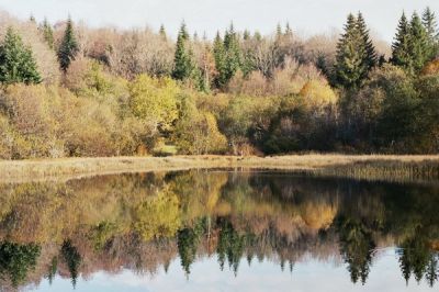 Mare aux canards
Un plan d'eau et ses canards �  l'automne

